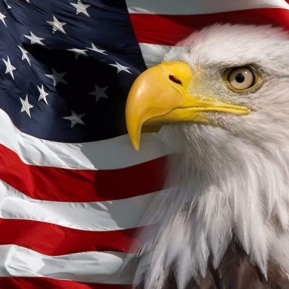 🇺🇲 To all who have served so we can be free 🇺🇲 - Picture 2 of 4